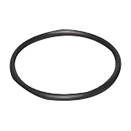 Dura Manifold O-Ring 1 in. (Fits Inside Swivel)