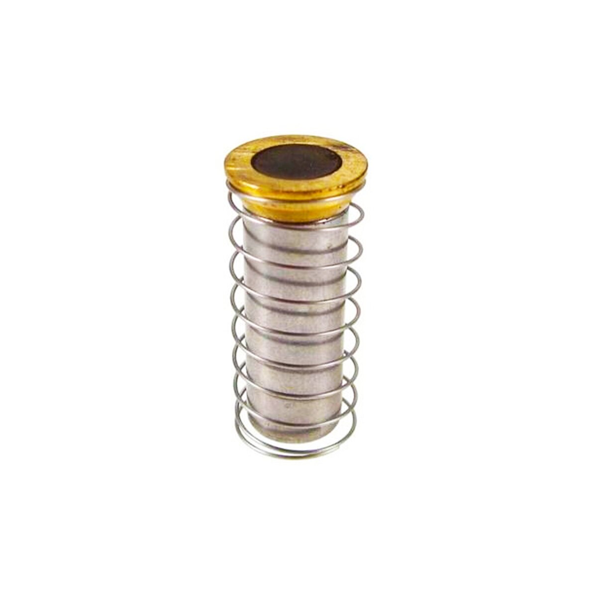 Plunger Assembly 1-1/2 in. & 2 in. Valves