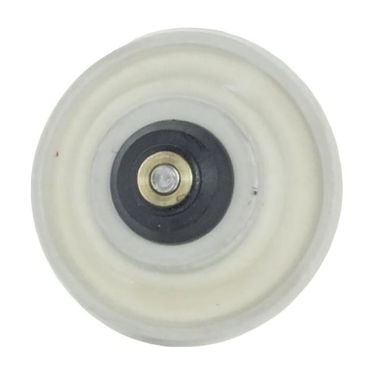 Weathermatic 21000 Series Replacement Diaphram Assembly 2 in.