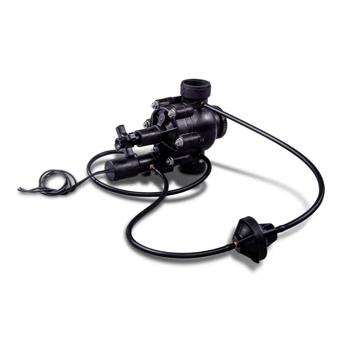 1 Century Plus Valve W/ Anti-Contamination Irtl