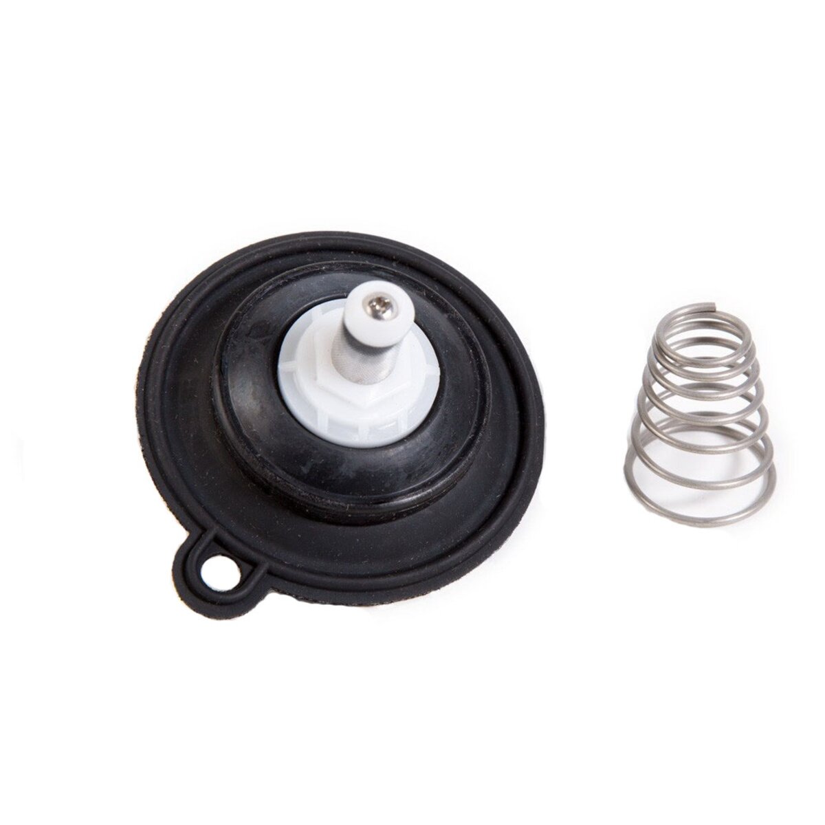 Diaphragm Assembly PESB Valve 1 in.