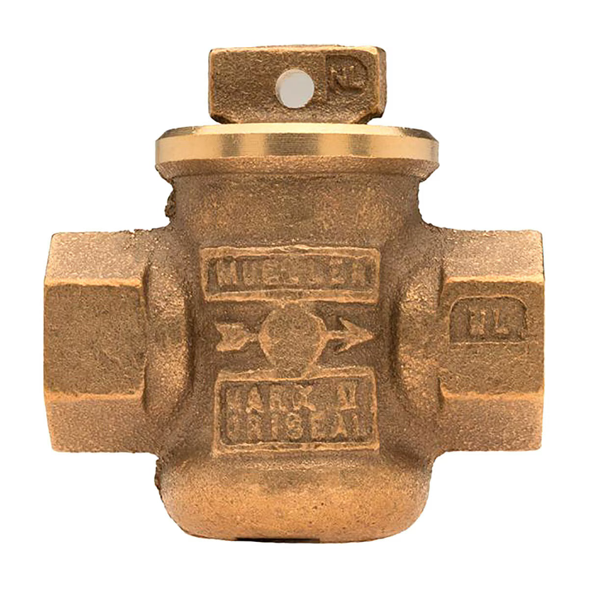 Mueller MH10283NG Curb Stop Valve Lead Free 1 in. x 1 in. Fip