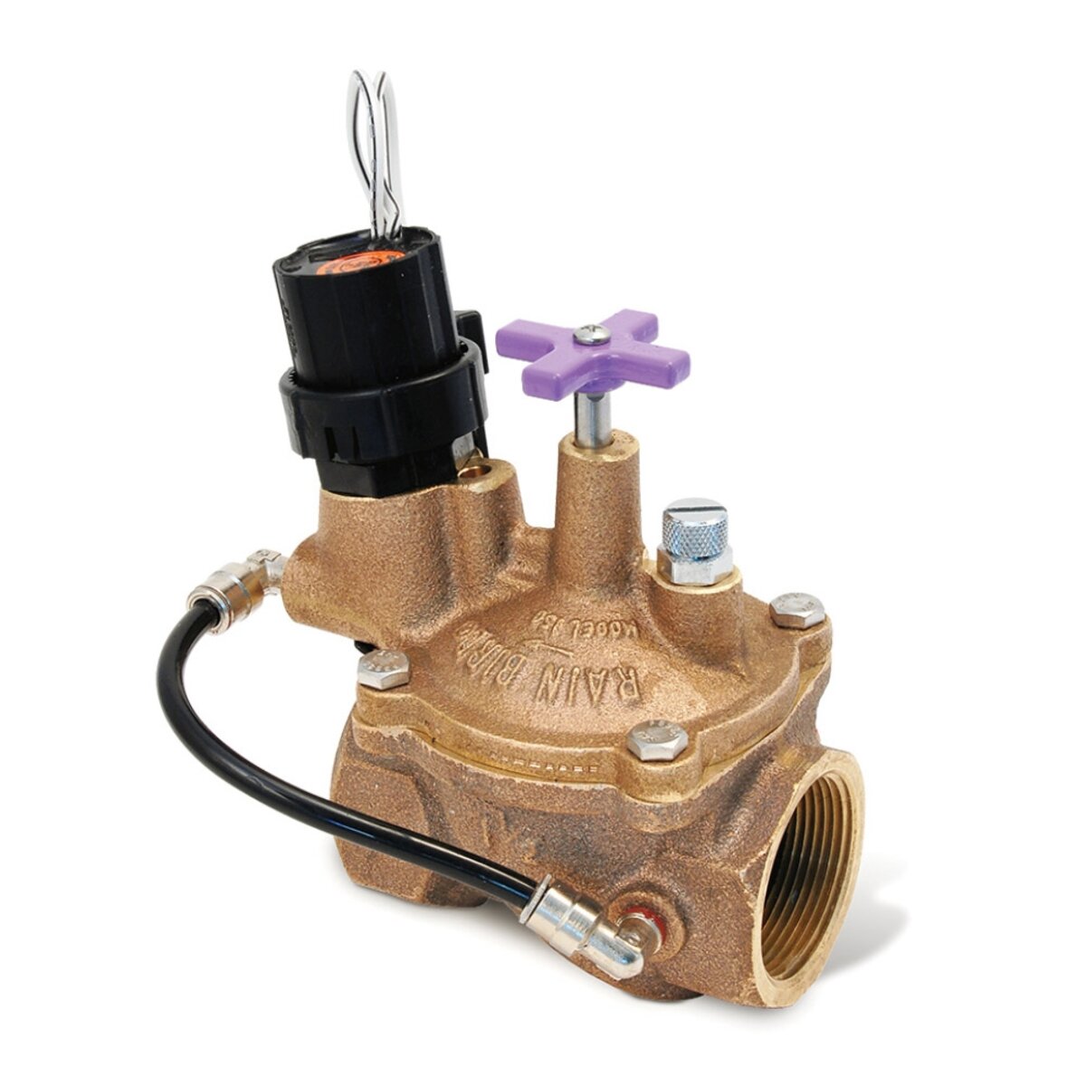 Rain Bird EFB Contamination Proof Valve Brass 2 in. w/ Flow Control FIPT x FIPT