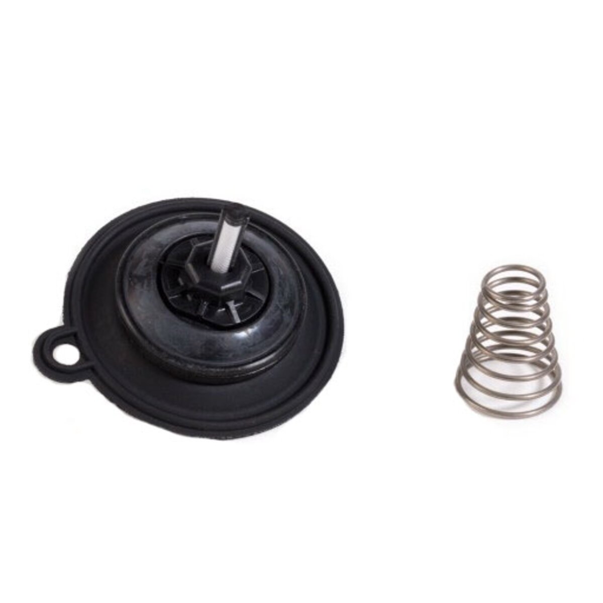 Rain Bird Diaphragm Assembly for 100PEB 1 in.