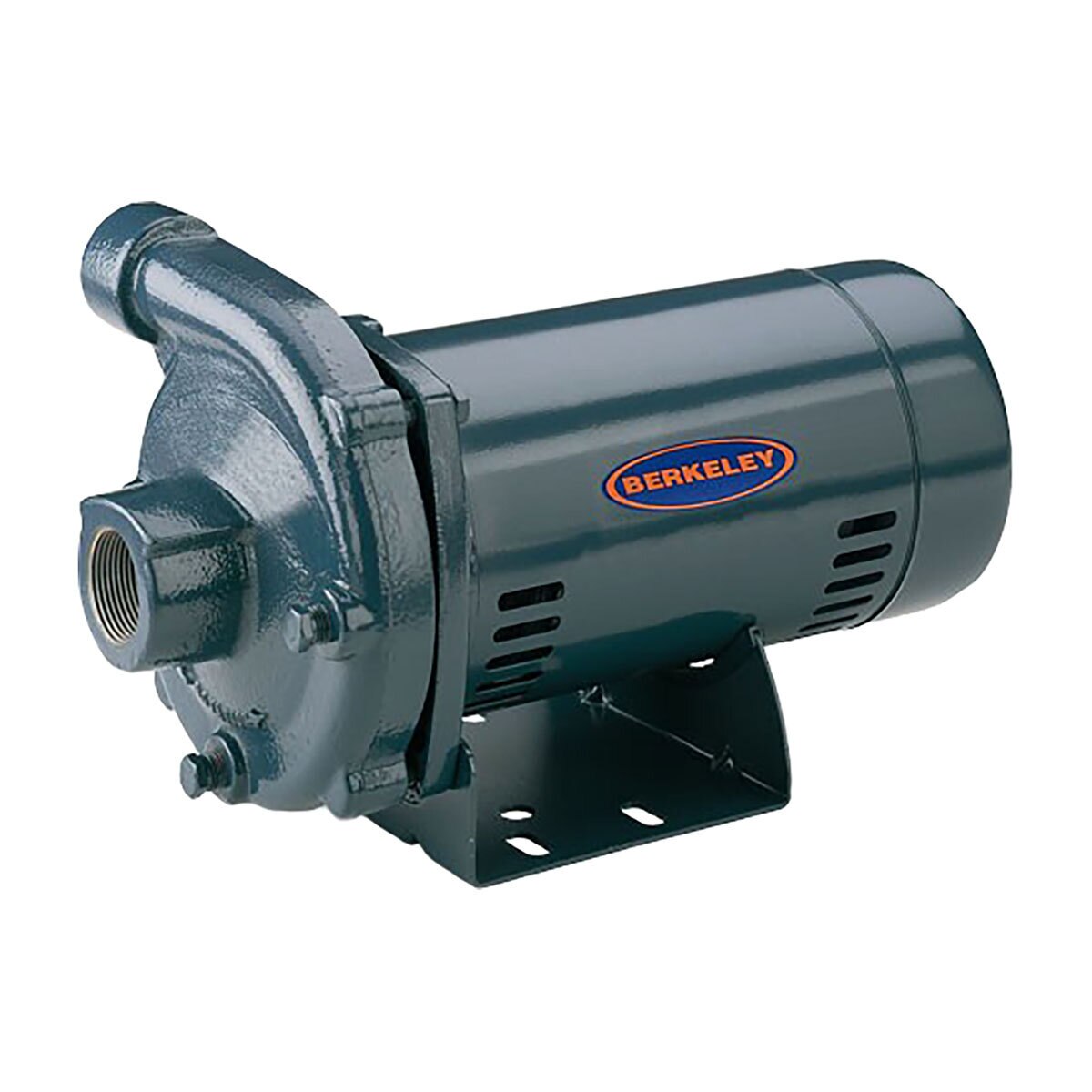 Pentair Berkeley S39496 Medium Head Centrifugal Pump 1-1/2 HP