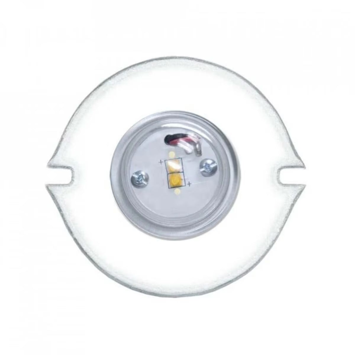 CAST-CSWLED2- LED RETRO MODULE;FOR SAVANNAH & WALL WASH