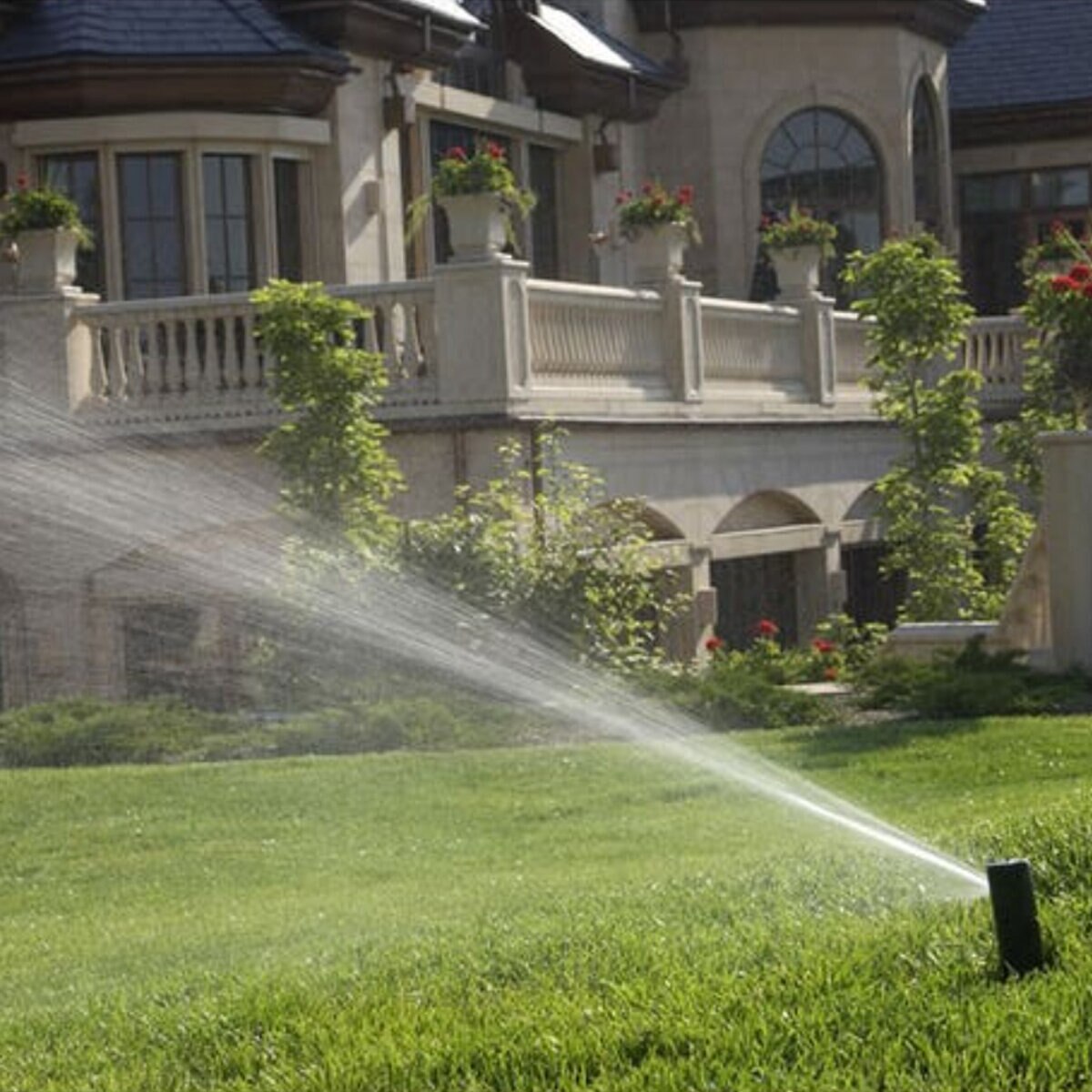 Rain Bird 5004 Full-Circle Rotor 4 in. Riser