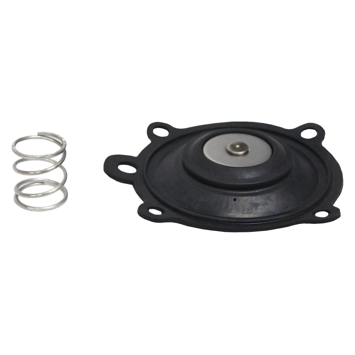 Buckner VDW15DKIT Dirty Water Diaphragm Kit 1-1/2 in.