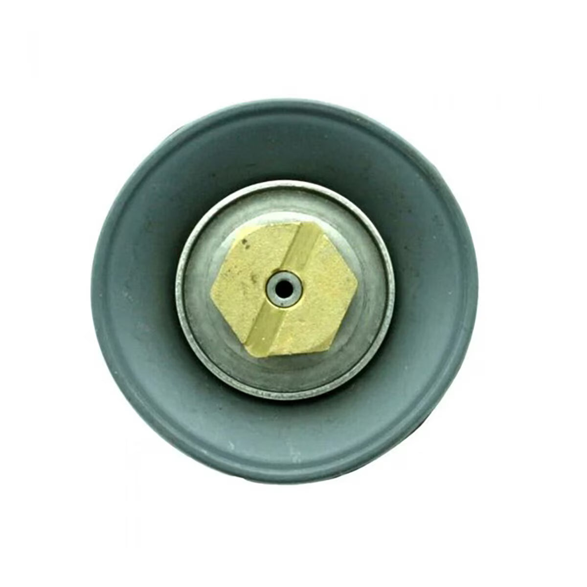 Griswold 4418 Replacement Diaphragm Disc Assembly 1-1/2 in.