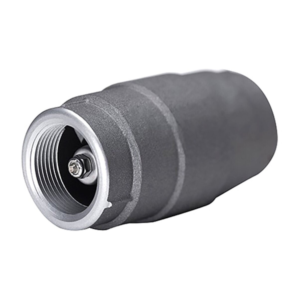 Aluminum Check Valve 2 in. NPT