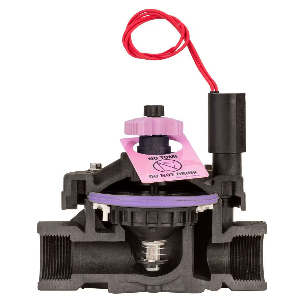 Hunter ICV Glass-Filled Nylon Reclaimed Globe Valve 1-1/2 in. FIPT with Filter Sentry