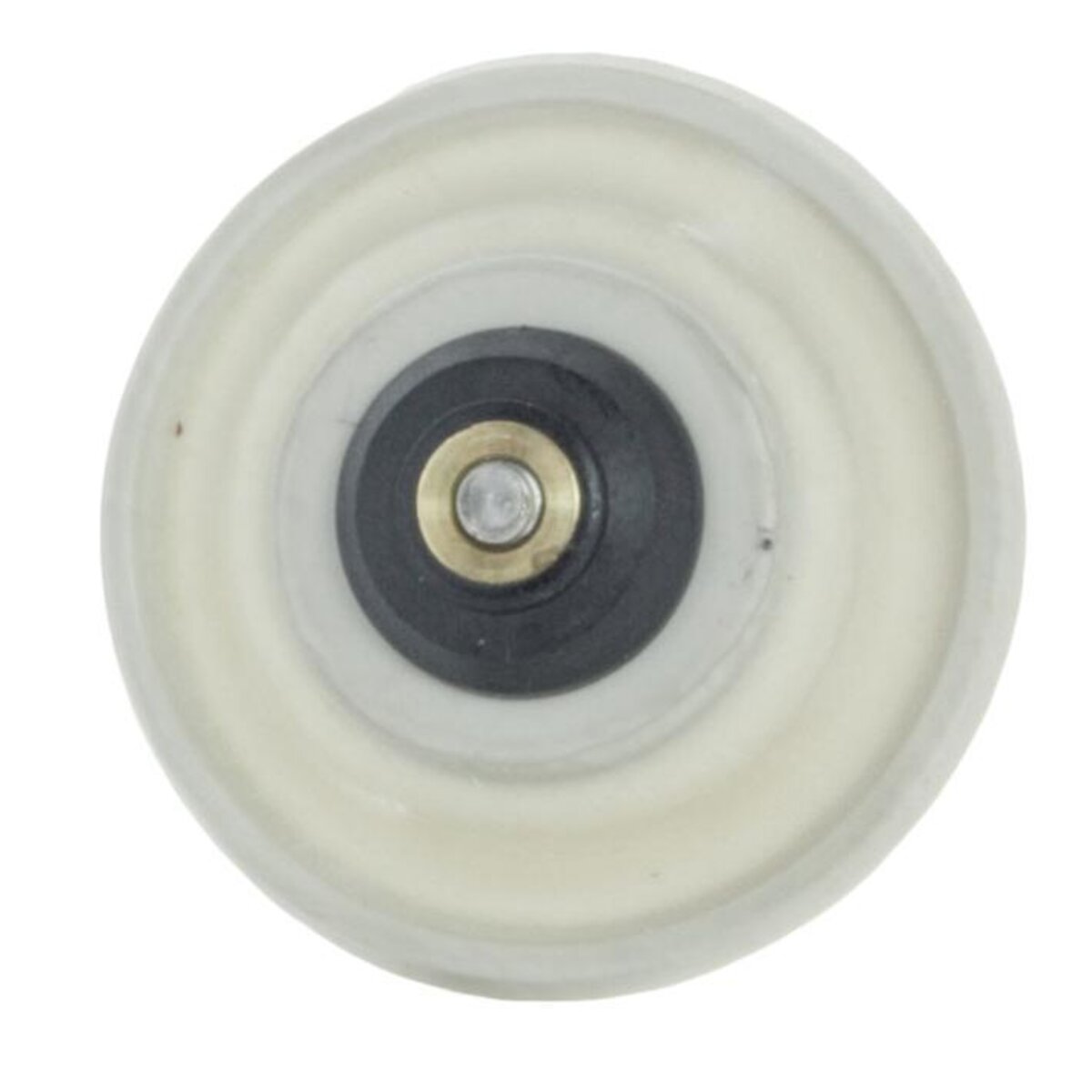 Diaphram Assembly 11024FCR WEATHERMATIC