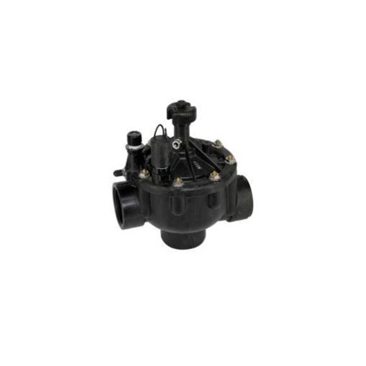 P-220 Globe/Angle Valve, 2 in. Npt, Electric, 24V Ac, Pressure Reg.