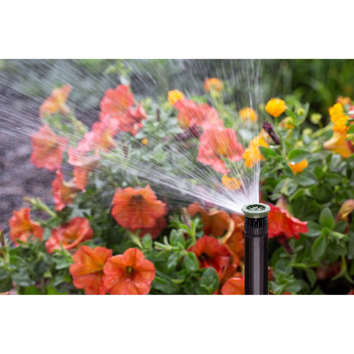 Hunter Pro High-Efficiency Nozzle 8 ft. Radius Adjustable Arc from 0 Degree to 360 Degree Female Thread