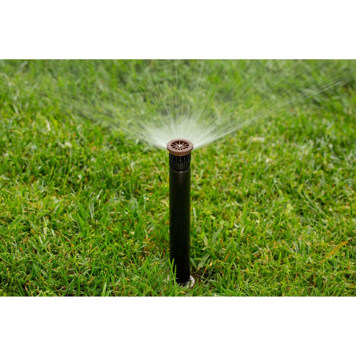 Hunter Pro High-Efficiency Nozzle 12 ft. Radius Adjustable Arc from 0 Degree to 360 Degree Female Thread