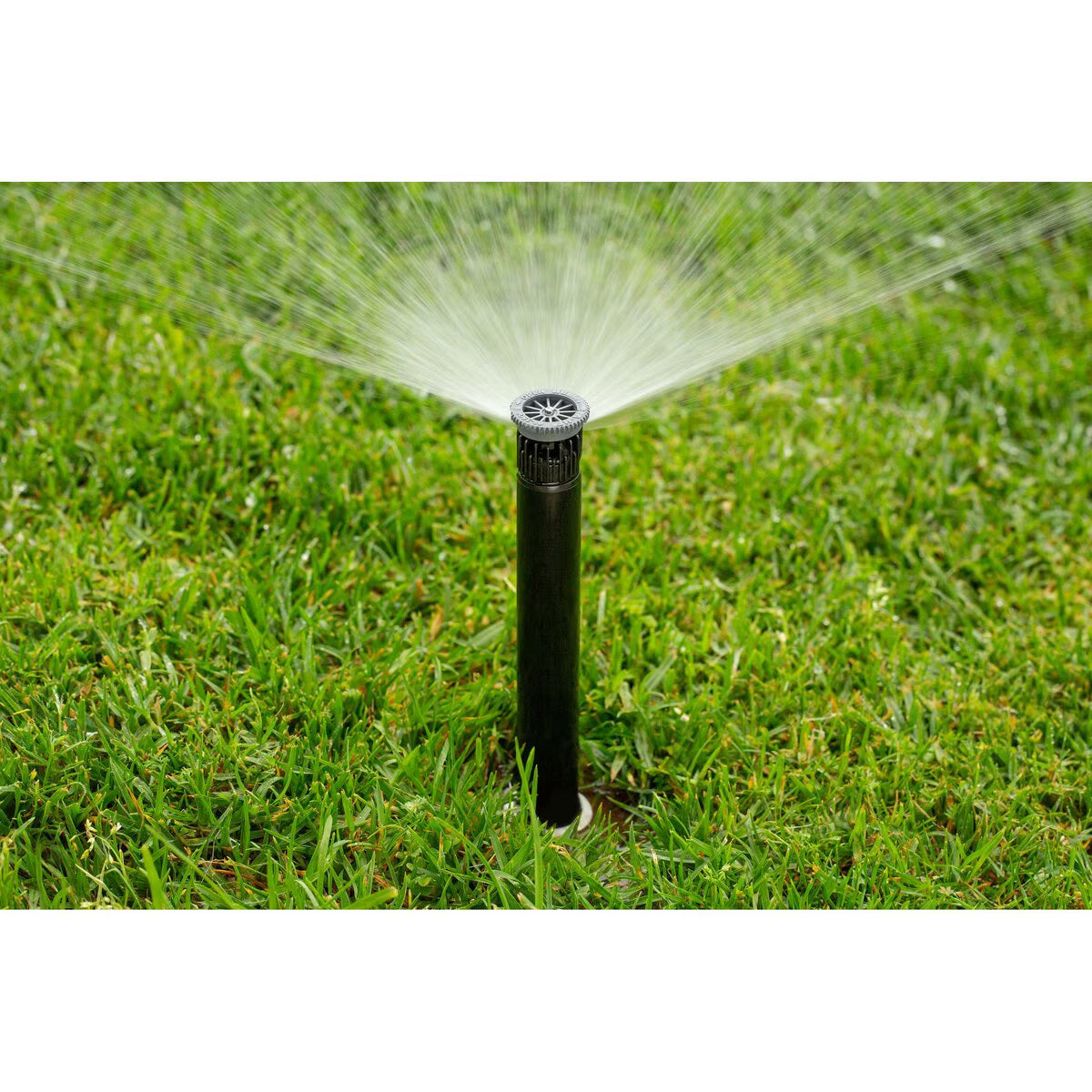 Hunter Pro High-Efficiency Nozzle 17 ft. Radius Adjustable Arc from 0 Degree to 360 Degree Female Thread