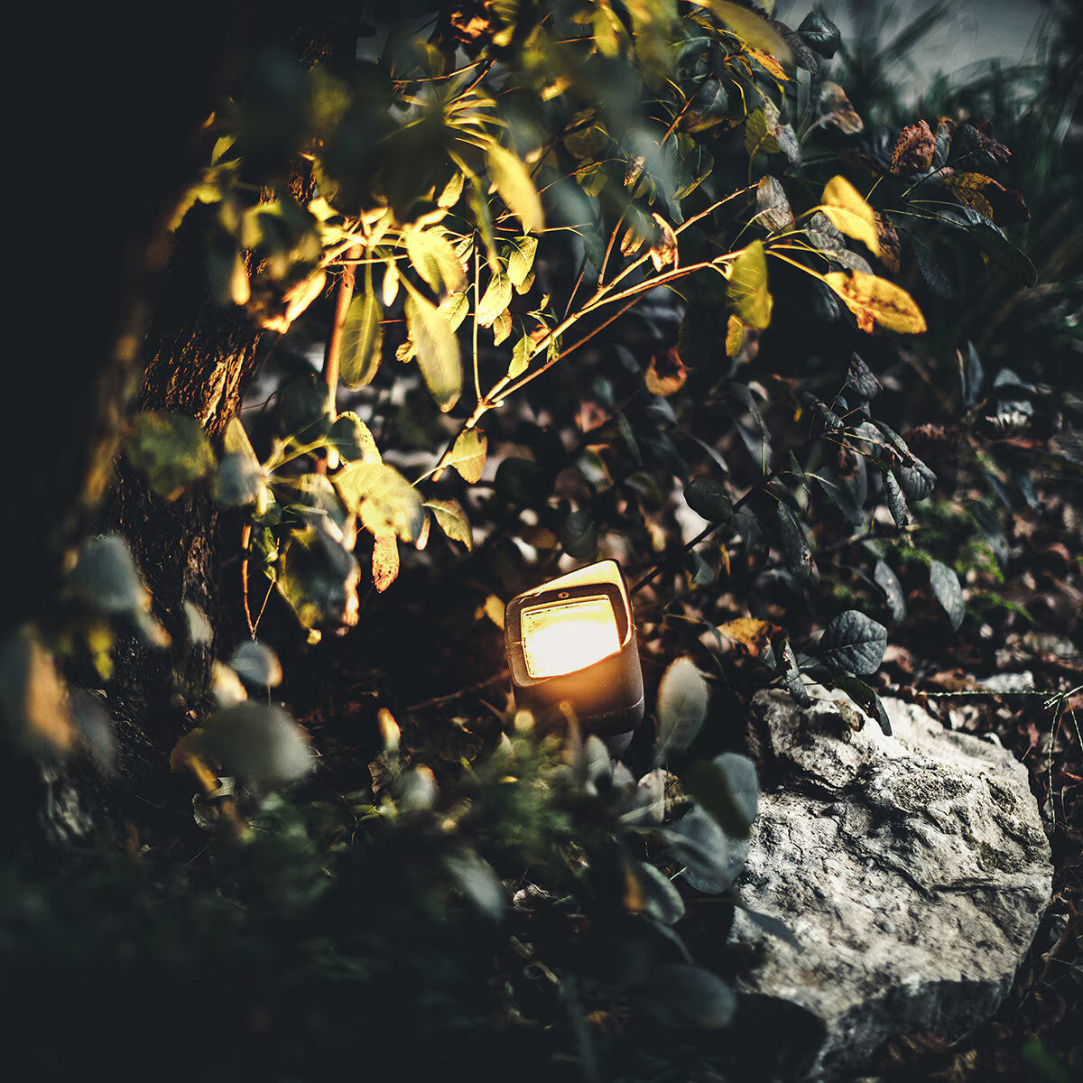 Pro-Trade FL1 Flood Light Brass Housing Antique Finish No Lamp