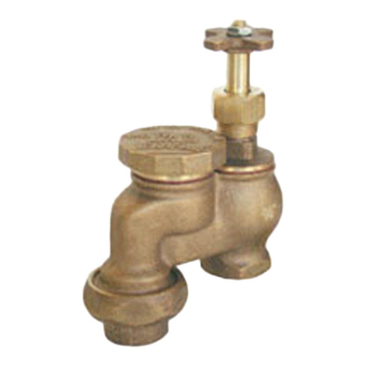 Buckner Red Brass Anti-Siphon Valve with Union 3/4 in. FIPT