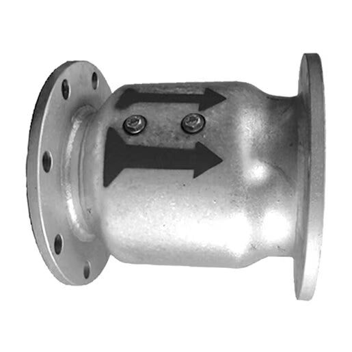 Ames Flanged Check Valve 3 in.