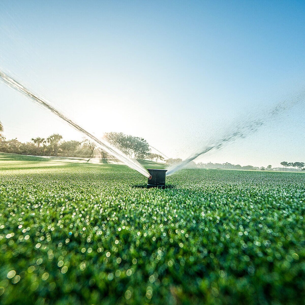 ACME 950E 80PSI-28 SPR