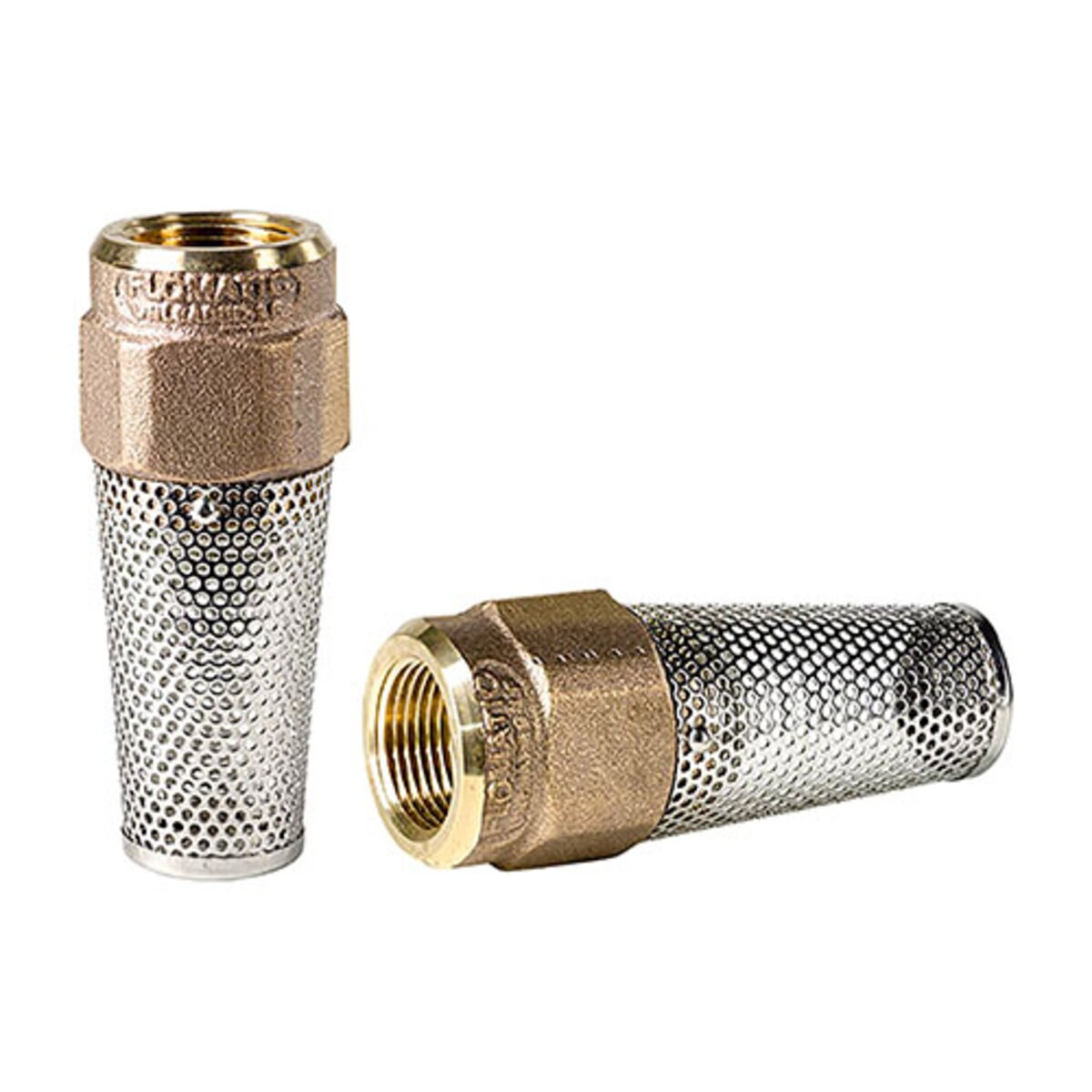 Flomatic 4171EV 1 in. Foot Valve Viton Disk