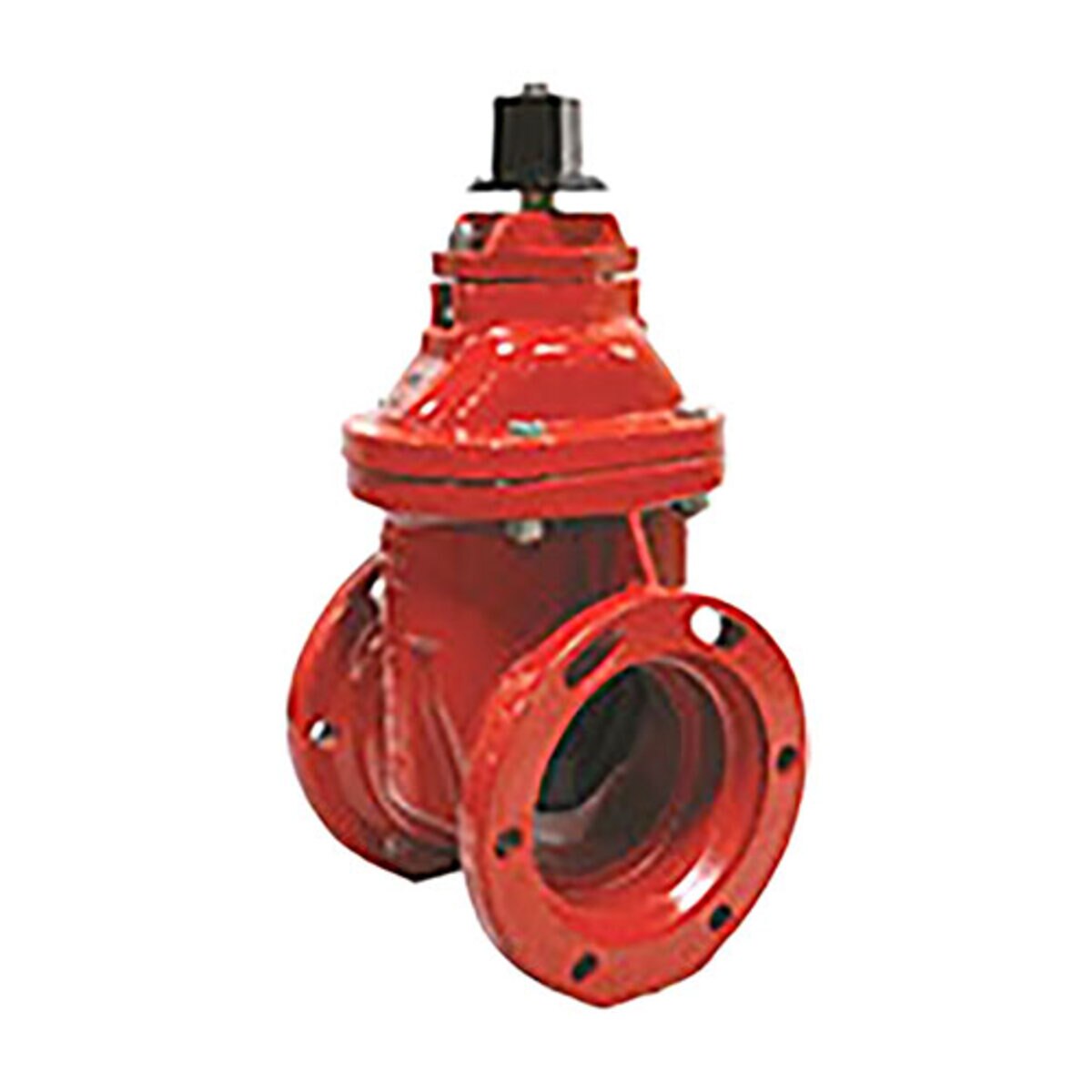 F6110-10 Push On Gate Valve 10 in.