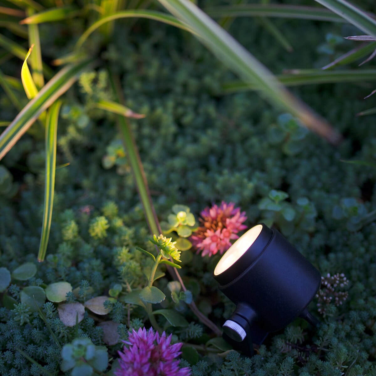 in-lite Mini Scope Spotlight