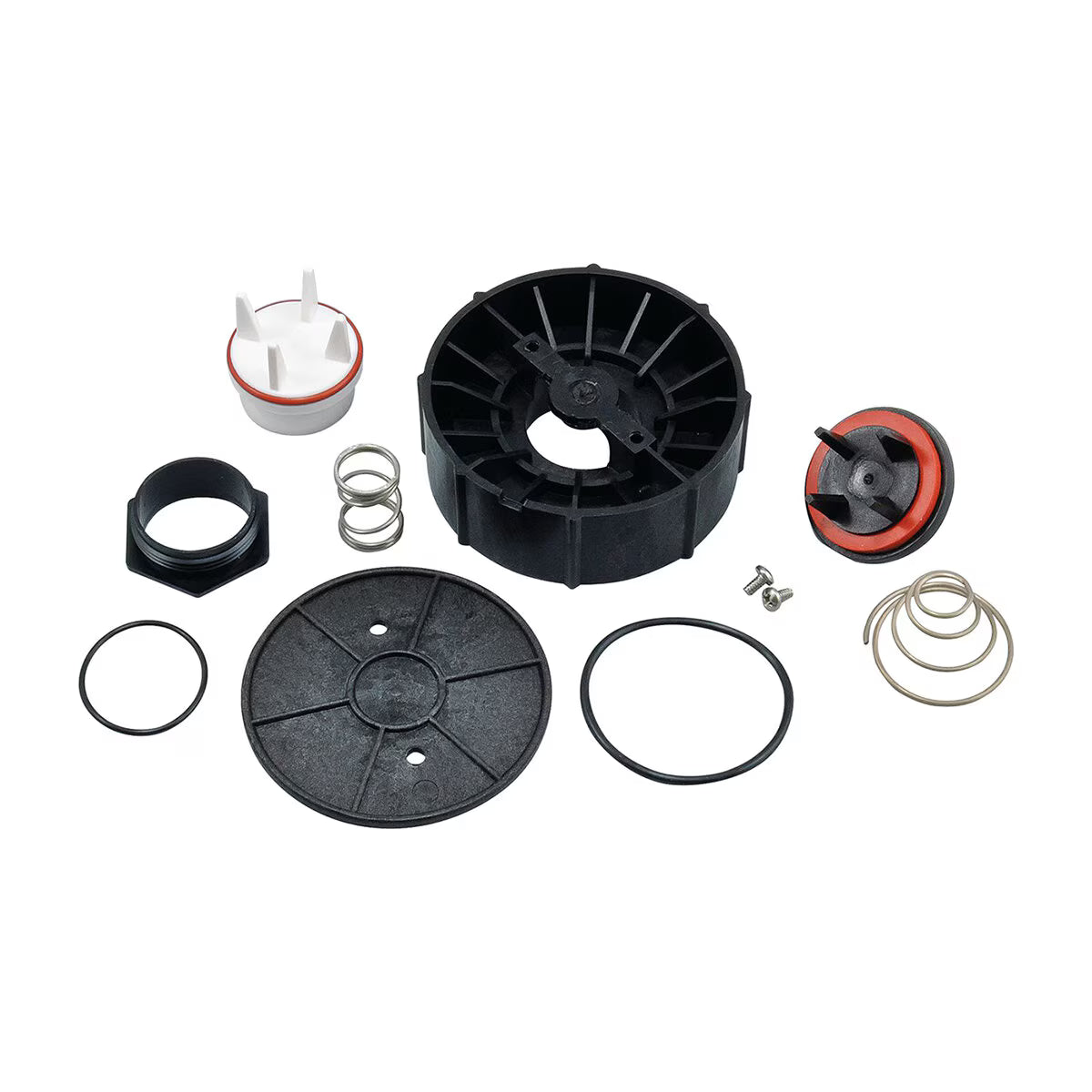 Watts RK-800M4-T Total Repair Kit1 in.
