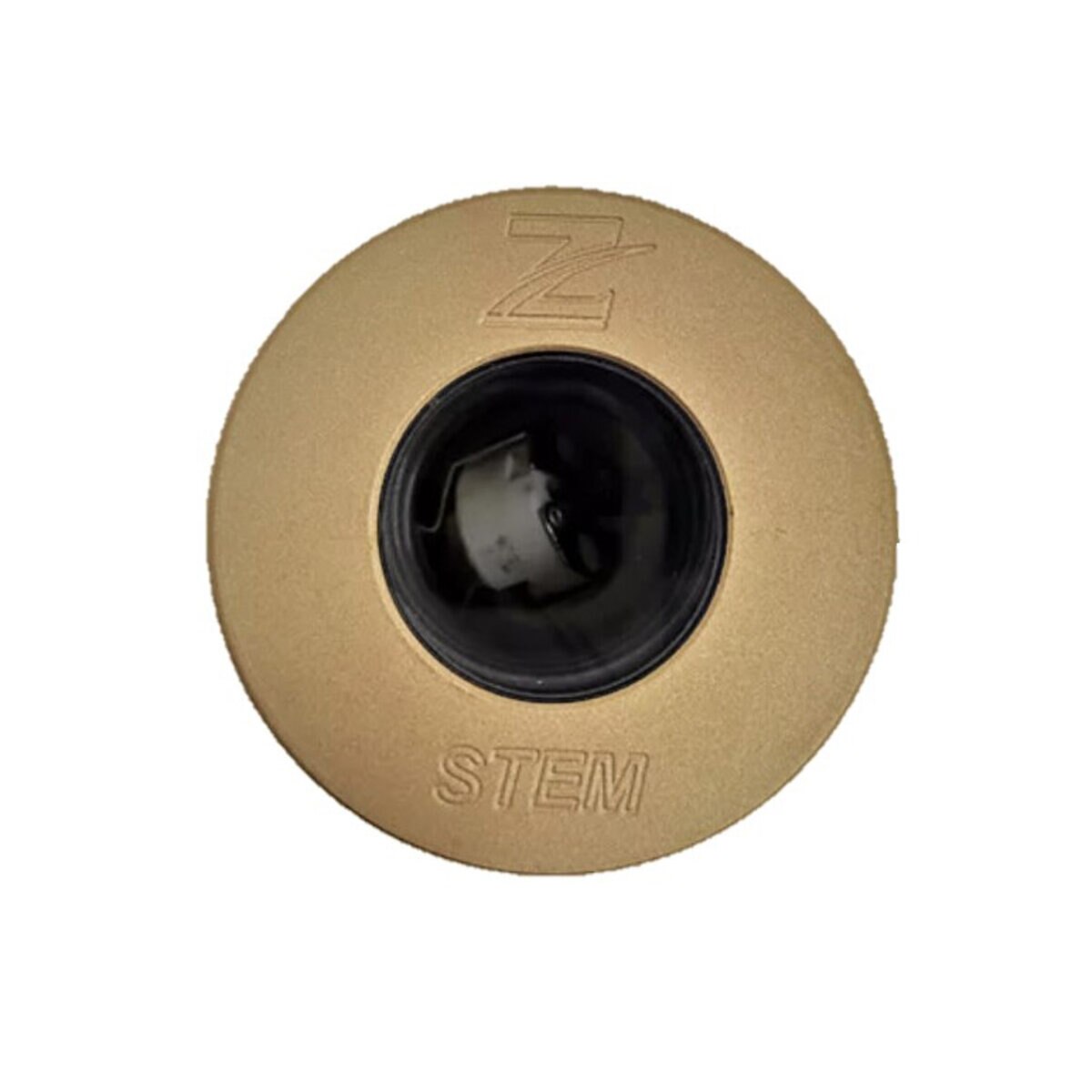 Z-Flex ZSTEM Inground Well Light Brass MR-11 No Lamp