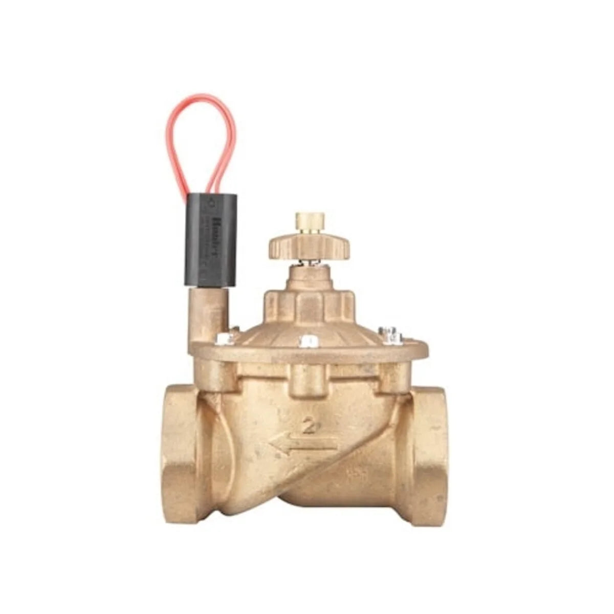 Hunter Globe Valve IBV Brass 2 in. w/ Flow Control and Filter Sentry FIPT x FIPT | IBV201GFS