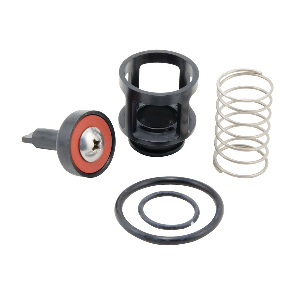 Watts RK 919-CK2 3/4 Second Check Repair Kit
