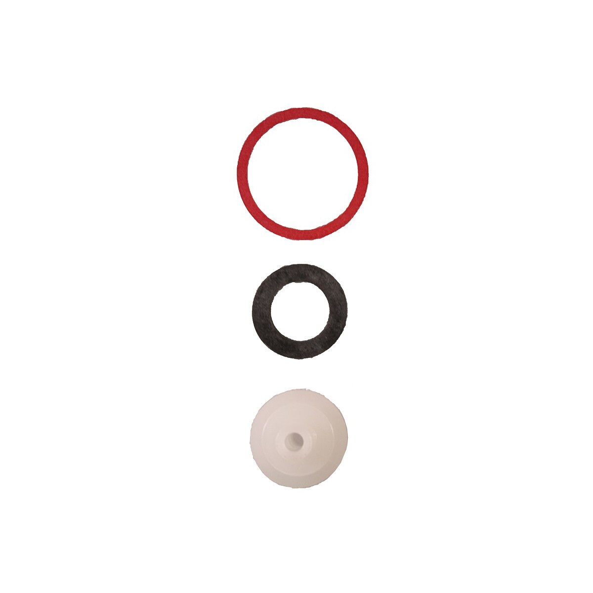 1 Anti-Siphon Replacement Chmp