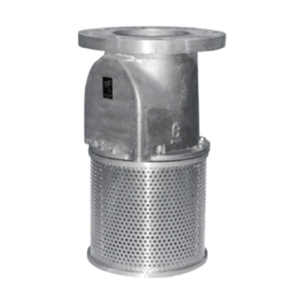 3" Foot Valve W/ Companion Flange SFVV3CF