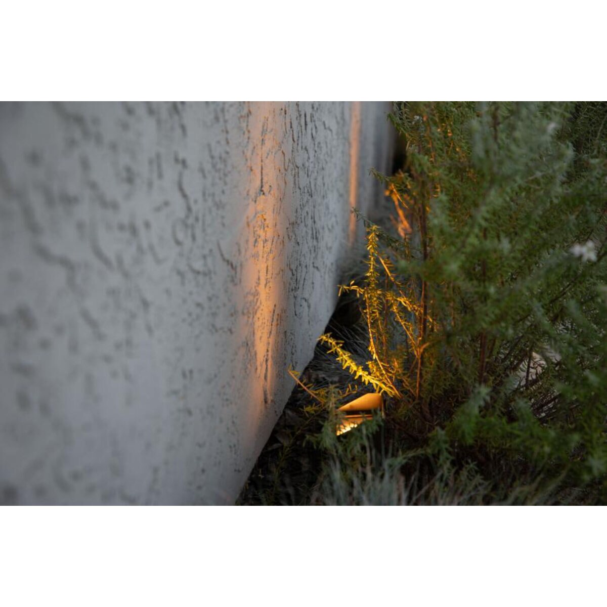 FX CORA CW 51 Wall Wash Light Bronze No Lamp 26 ft. Lead