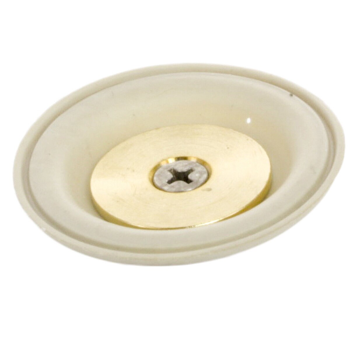 #M Diaphram Assembly 45-10DSA for 1 in. Black Bullet & Black Max Valves