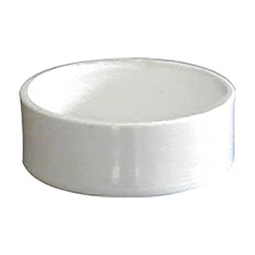 Rafferty Cap Fitting Sch 40 PVC 4 in. Slip On