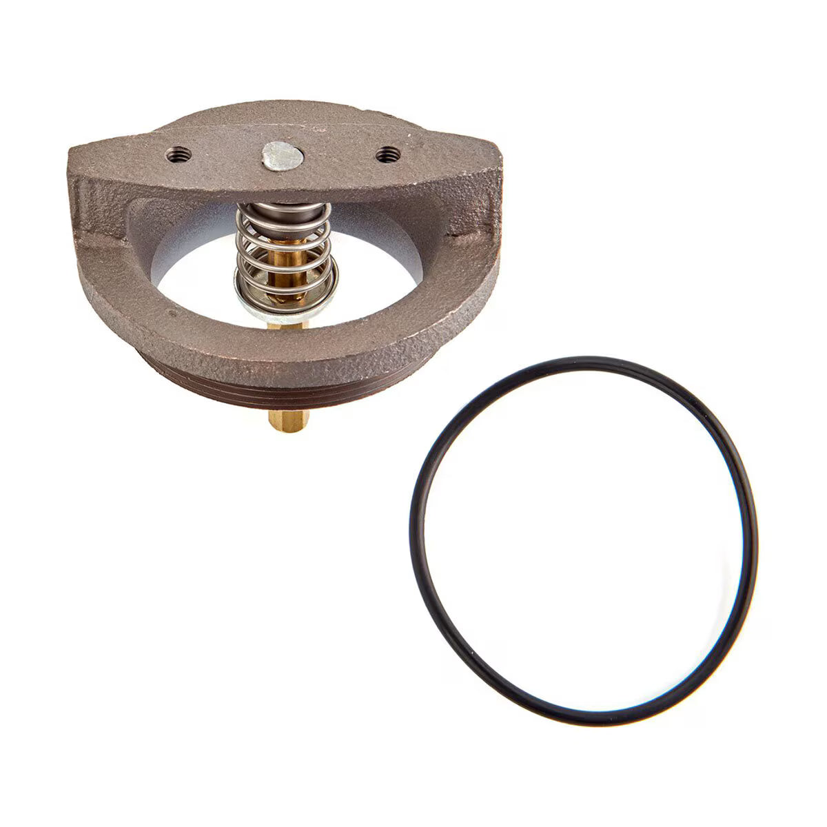Watts 400800 Bonnet Assebly for PVB 1 in.