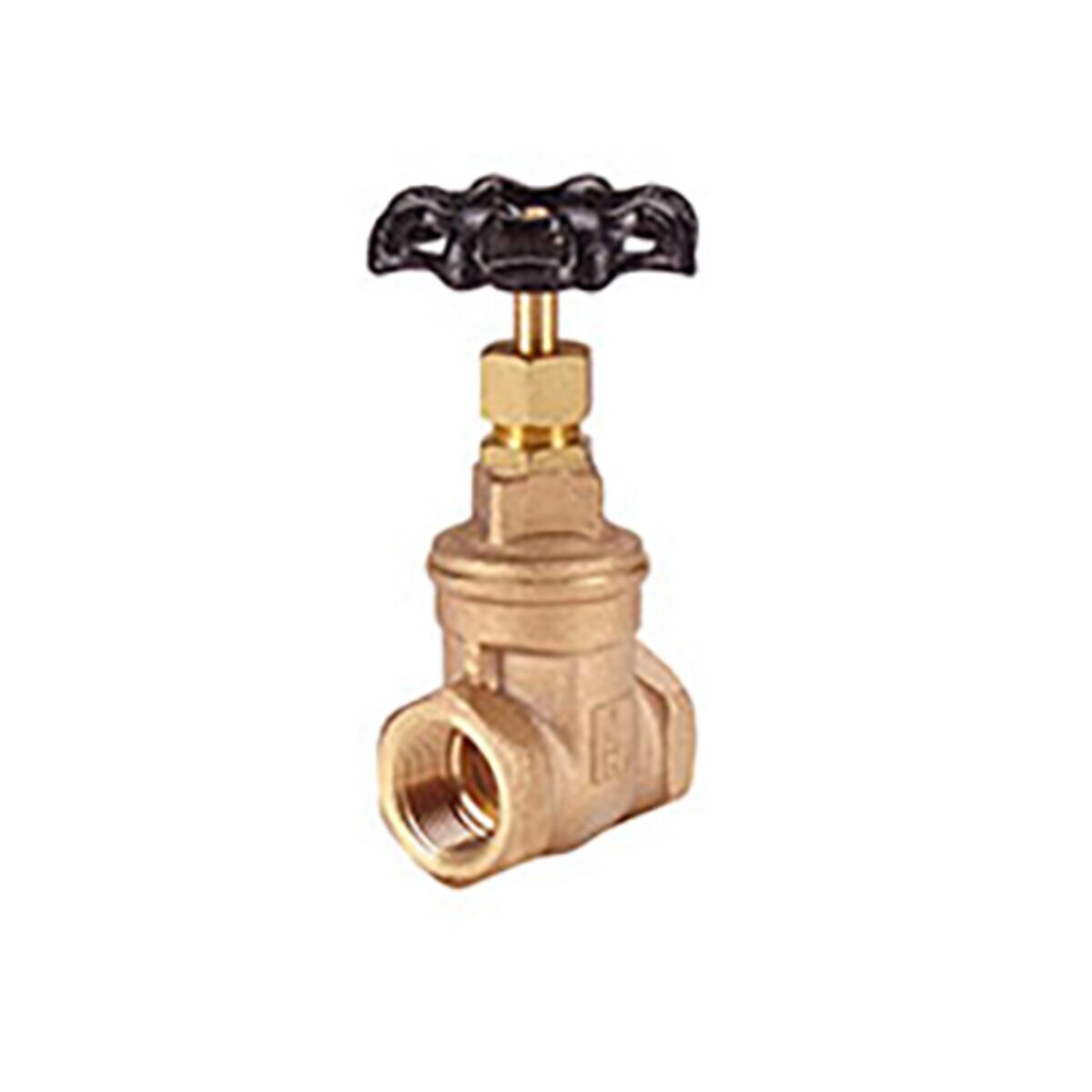 IB645-212 Hammond Ib645 2-1/2 Gv