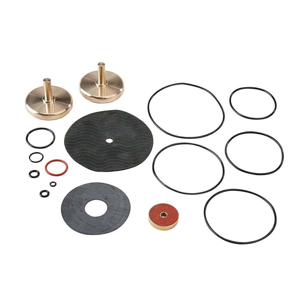 Watts RK-009 Complete Rubber Repair Kit 1-1/4 in. - 1-1/2 in.