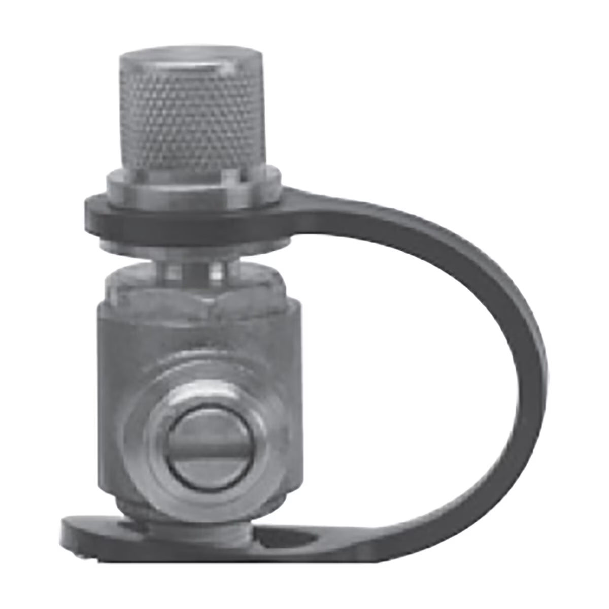Watts RK TC-P 1/8-1/4 Test Port Cap & Thether