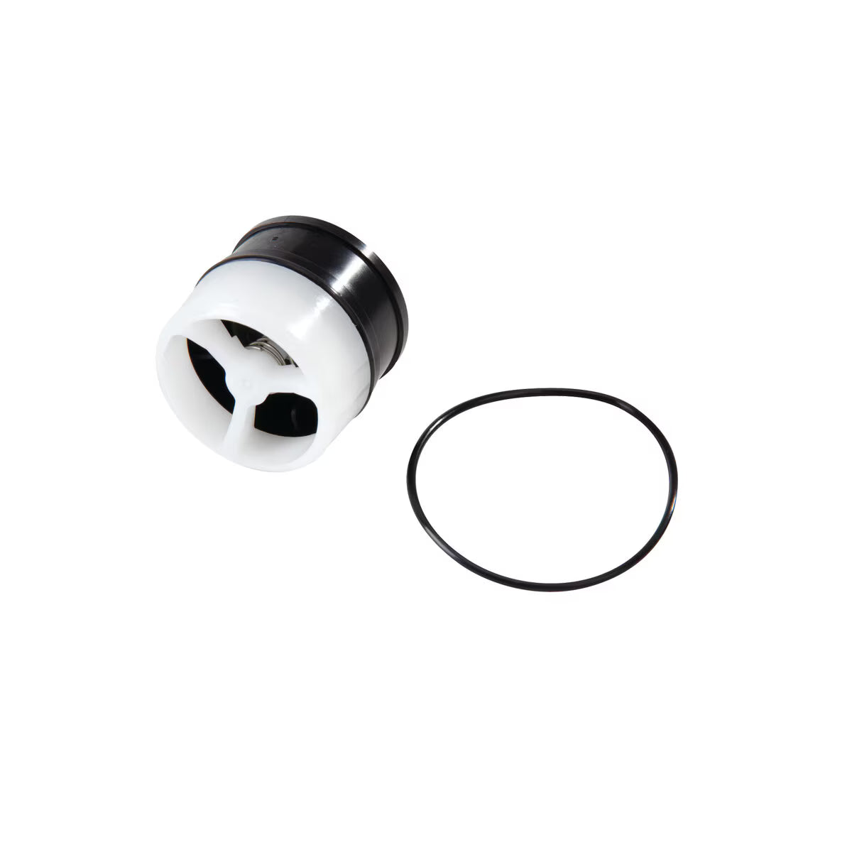 Watts RK 009-CK2 3/4-1 Check Kit