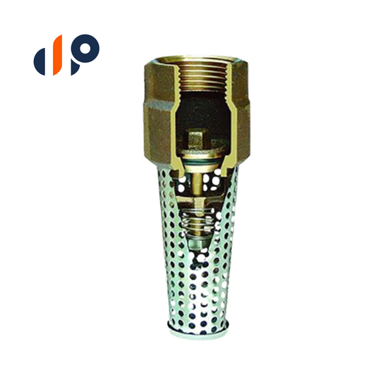BBV020 Brass Ball Valve 2 in.
