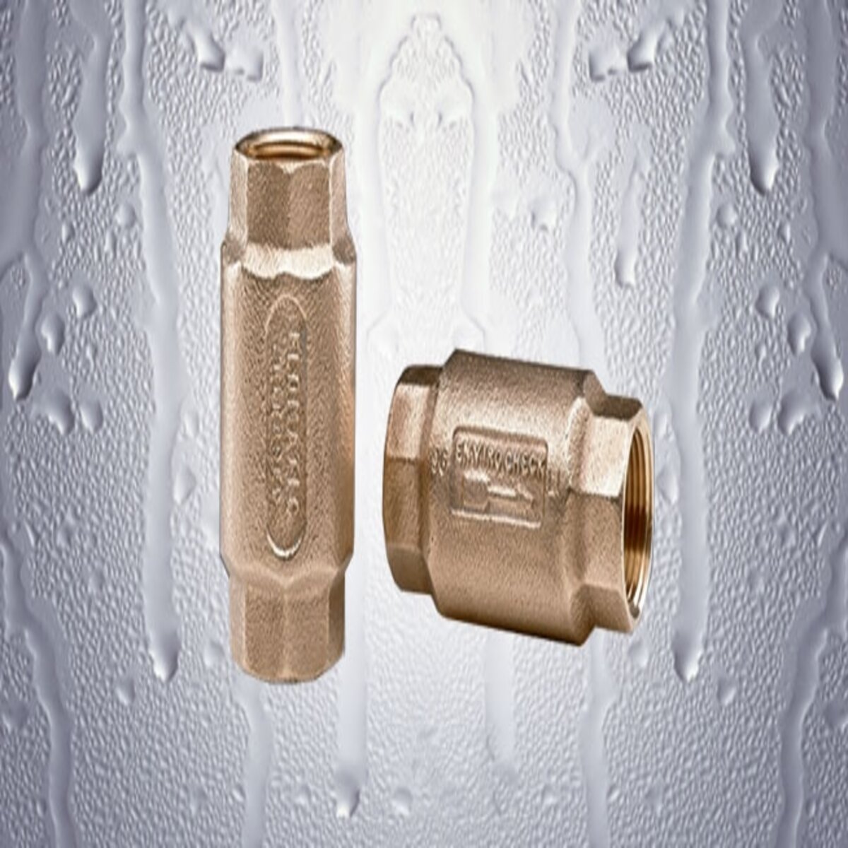 Flomatic  FM4031E  Enviro Check Check Valve Lead Free Bronze 1 in. FIPT