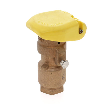 Rain Bird Quick Coupling Valve 3/4 in. FIPT Inlet 2 pc. Body Double Track Key Lug with Yellow Cover