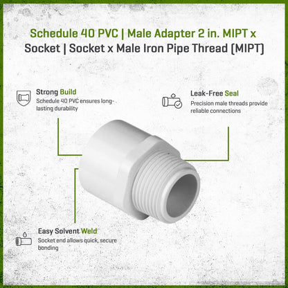 (10) Pack  436-020 Sch 40 PVC Male Adapter 2 in. MIPT x Socket | Spears