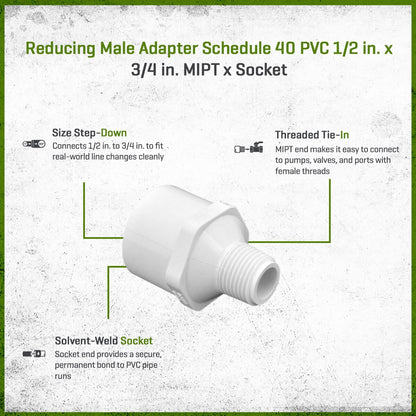 436-074 Sch 40 PVC Reducing Male Adapter 1/2 in. x 3/4 in. MIPT x Socket | Spears