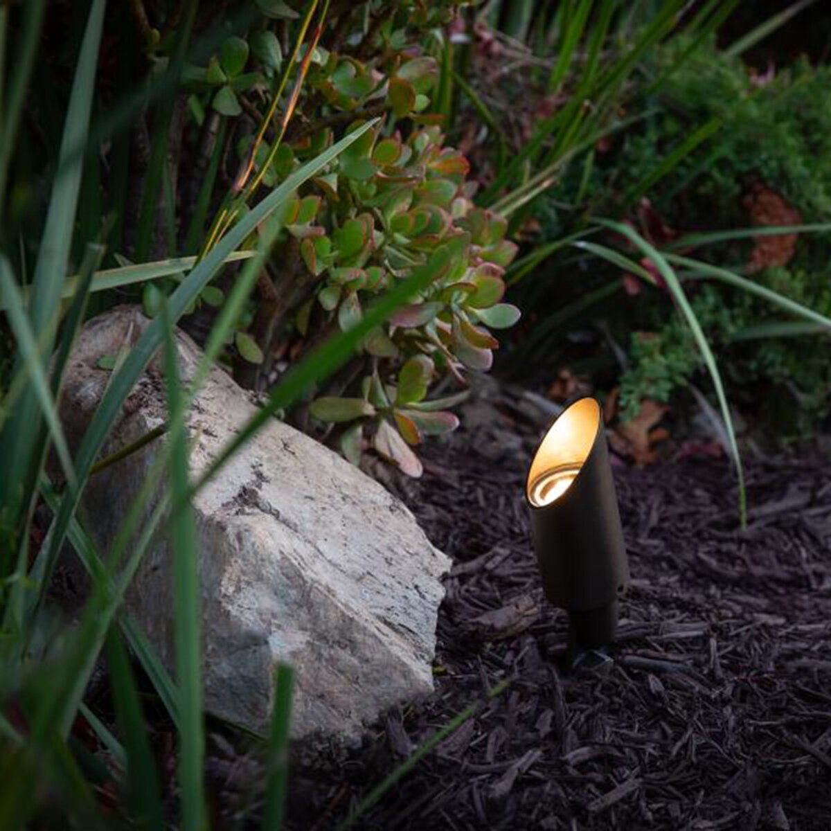 FX Luminaire Black Finish CA51, PRO 5VA, K27, FLD, FB MR16 ACCENT, STAKE