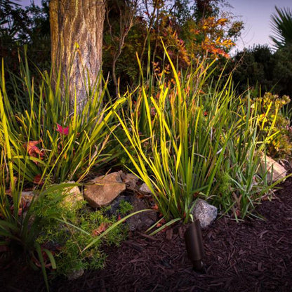 FX Luminaire Black Finish CA51, NO LAMP, FB