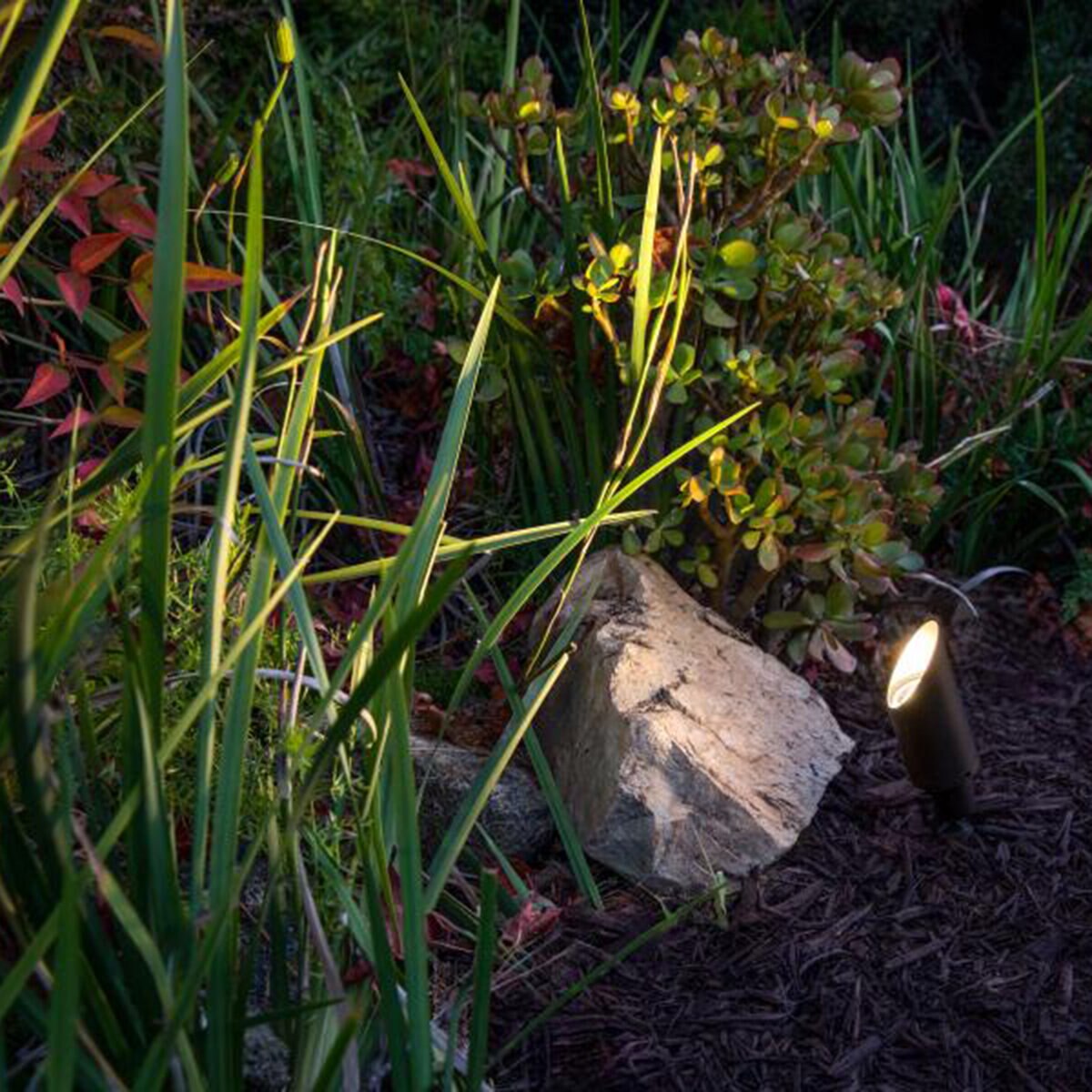 FX Luminaire Black Finish CA51, ECO 6VA, K27, FLD, FB MR16 ACCENT, STAKE