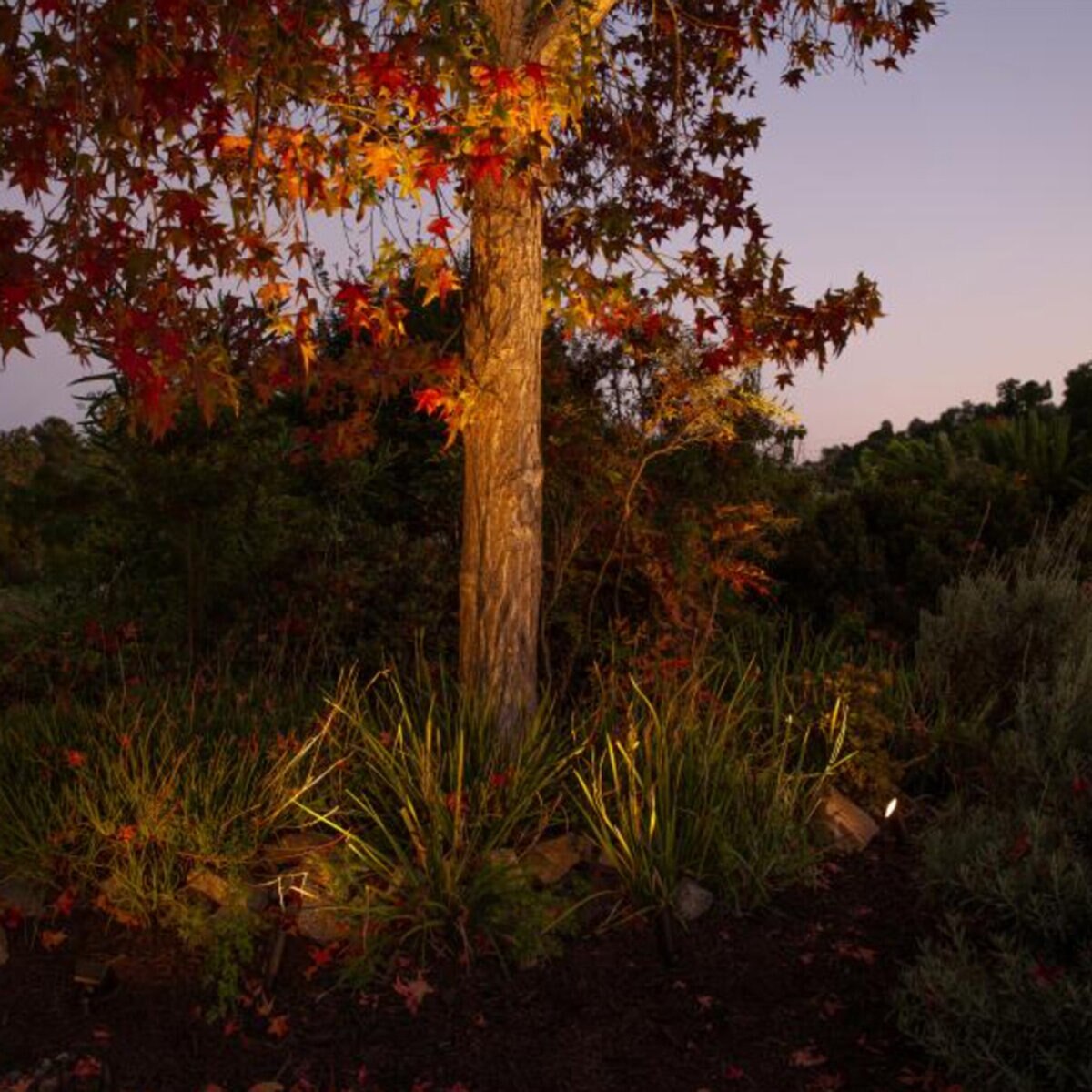 FX Luminaire Black Finish CA51, ZD 6VA, K27, FLD, FB MR16 ACCENT, STAKE